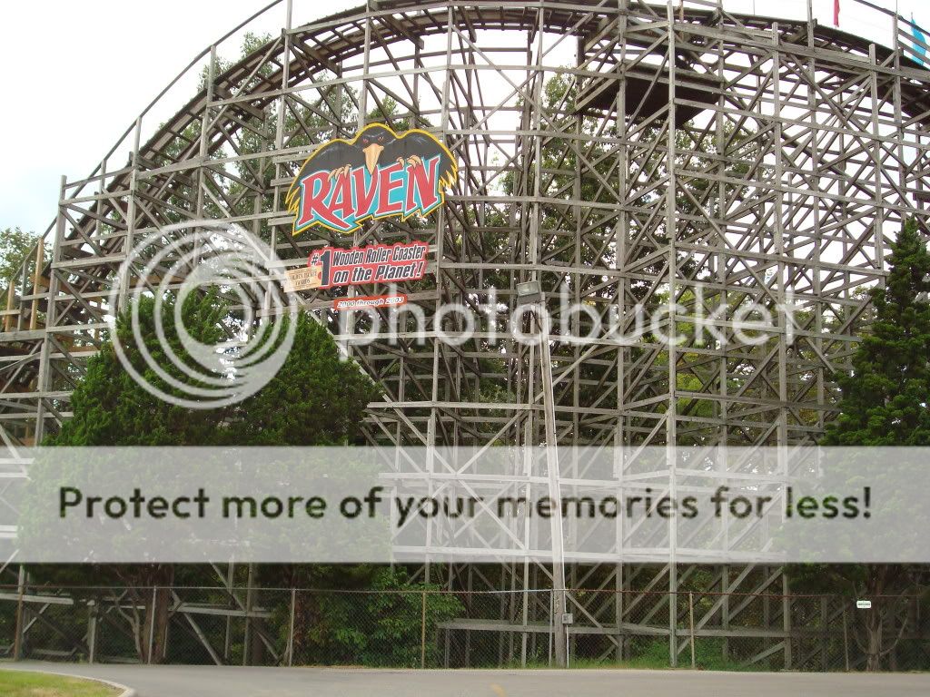 DSC01664.jpg?t=1282495930