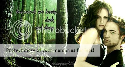 Banner 2