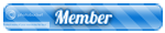 Member Member