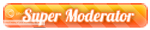 Super Mod Super Mod