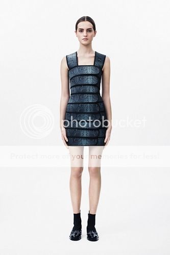 photo Christopher_Kane_prefall14_04_zps2c3ee0bf.jpg