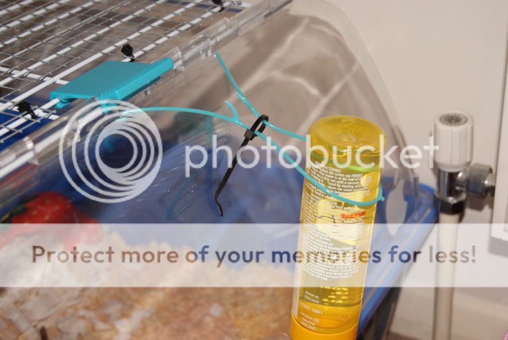 Water bottle frustration Hamster Central