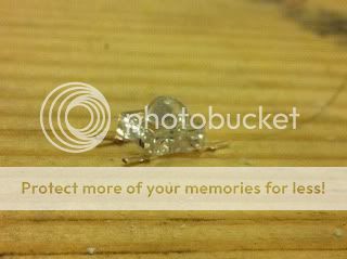 IMG_1863.jpg?t=1292749362