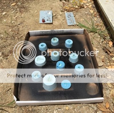 IMG_5895.jpg?t=1433915287