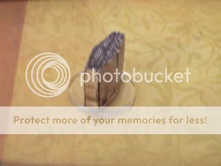 IMG_2071.jpg?t=1263713306