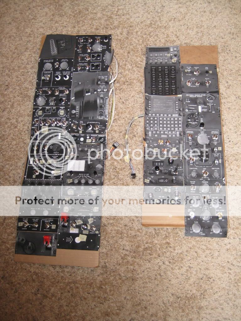 IMG_2077.jpg?t=1261707988