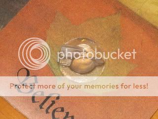 IMG_2099.jpg?t=1263713008