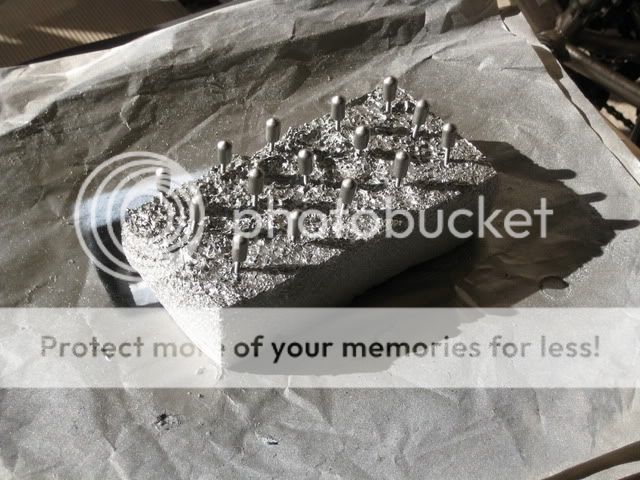 IMG_2101.jpg?t=1262166197