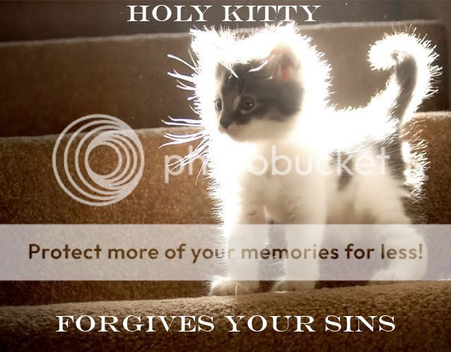 holycat.jpg?t=1452411729