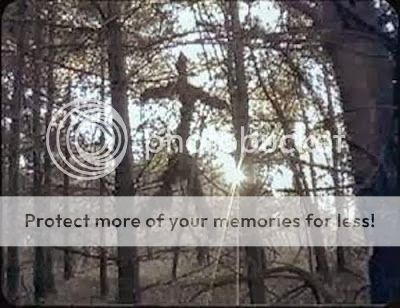 the blair witch project true story the blair witch project true story