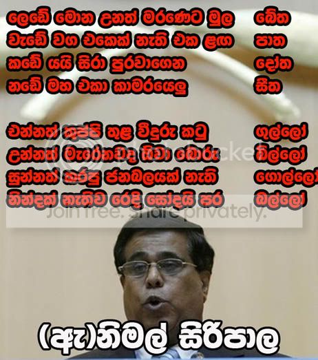 nimal1.jpg