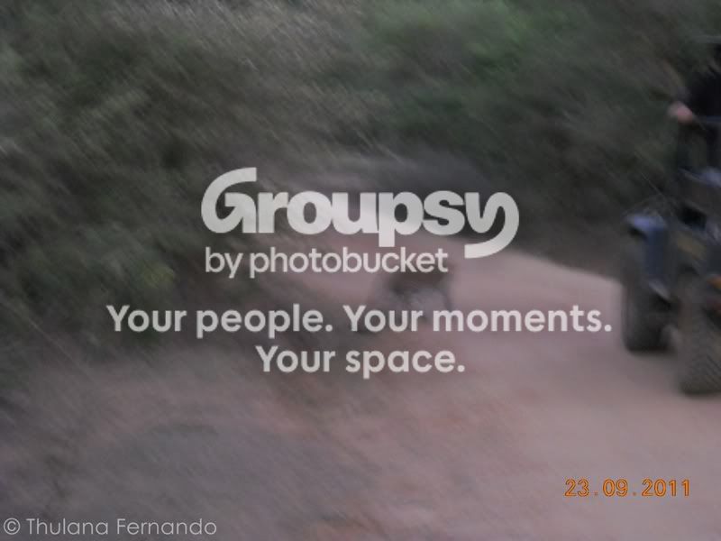 DSCN4536.jpg