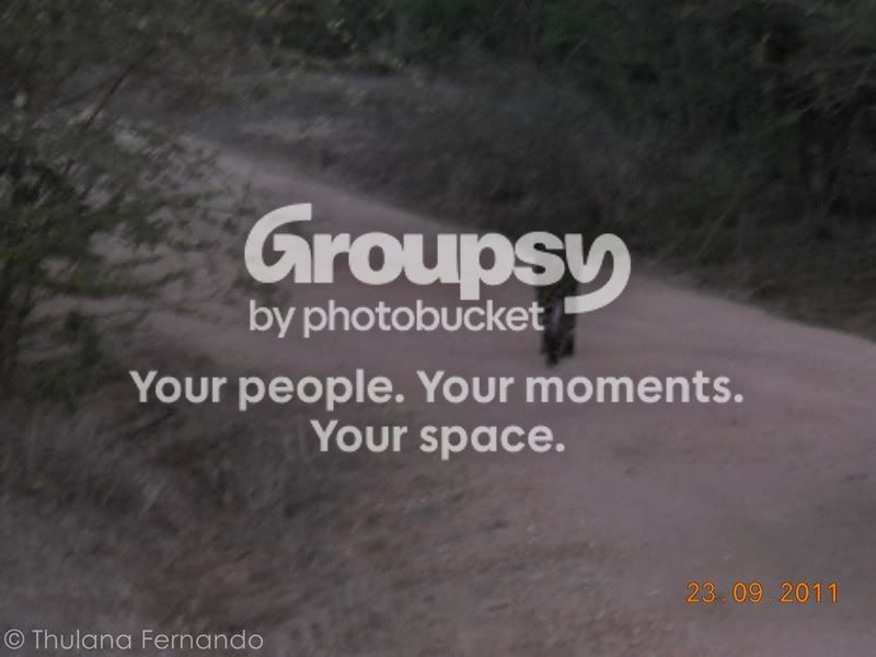 DSCN4537.jpg
