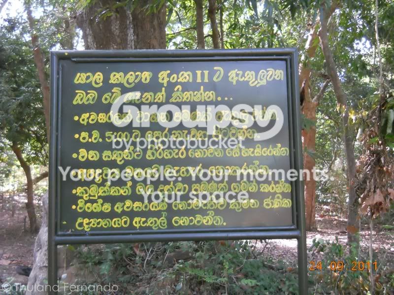 DSCN4675.jpg