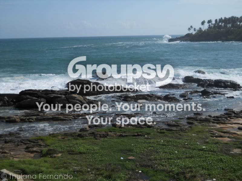 DSCN4808.jpg