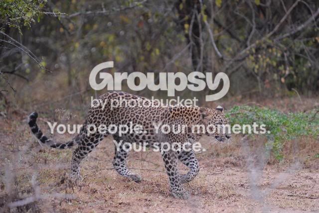 srilanka_4250.jpg